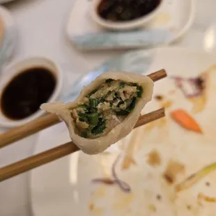 Pork, shrimp and chives dumplings