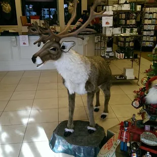 The head moves &amp; mouth opens.