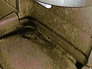 Yogeeze Frozen Yogurt