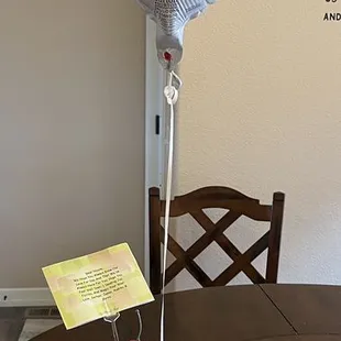 The cutest bouquet ever!!