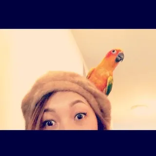 Nikki N.