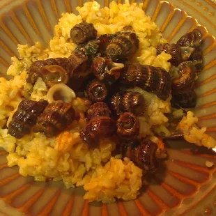 Snails with brown rice