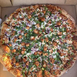 Paneer Tikka Pizza