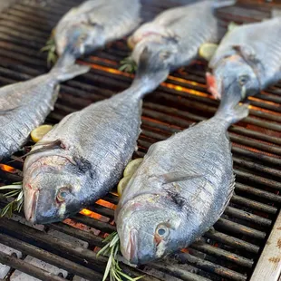 three whole fish on a grill