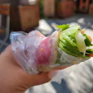 chicken spring roll