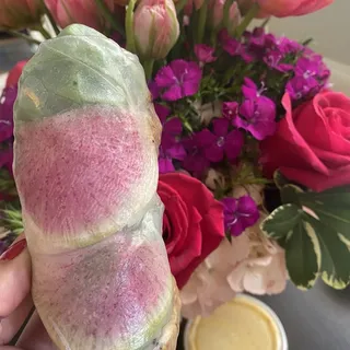 Fresh Rolls