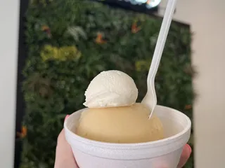 Bria’s Italian Ice & Ice Cream