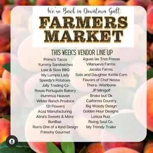 Galt Friday night market 2021