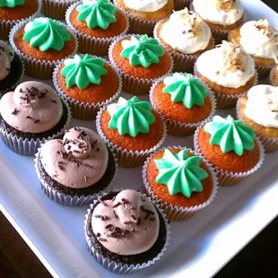 Assorted Cupcake Platter