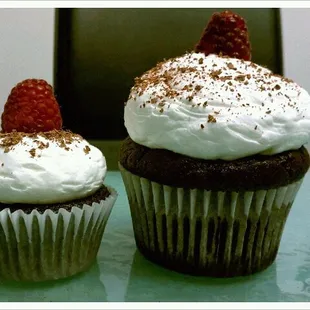 Regular (left) and Jumbo (right) Cupcakes