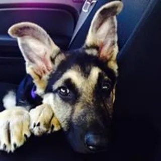 Amy P.