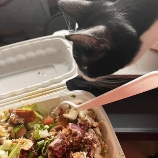 Chicken Half Half (chicken shawarma with rice and fatoush salad)