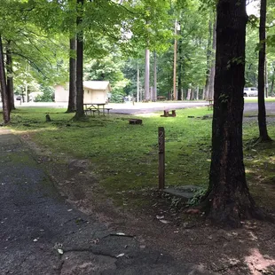 The middle row of sites... Near the bathhouse (bathhouse in the background)