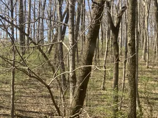 Jefferson Memorial Forest