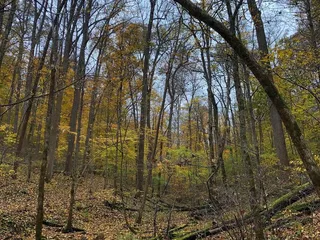 Otter Creek Recreation