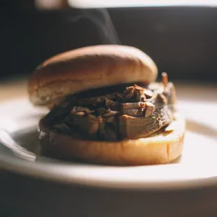 ows a beef sandwich on a bun