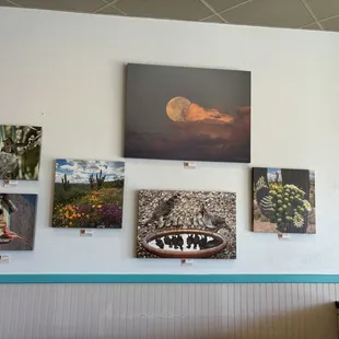 Art for purchase (September 2024)