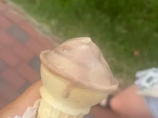Carolina Cones