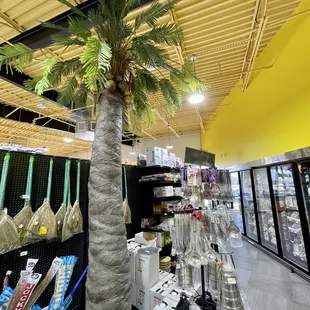 a palm tree in a store