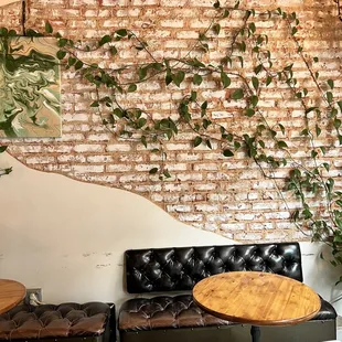 a brick wall with ivys growing on it