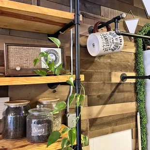 shelves with plants and jars