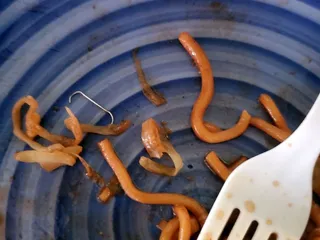 Bamboo Asian Cuisine