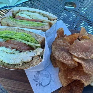 Chicken basil sandwich