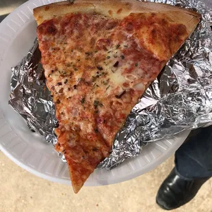 Plain Cheese Pizza