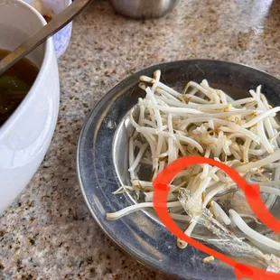 See that trash plastic on the plate?  It was a tough chew and I had to spit it out!