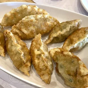 Fried Dumplings