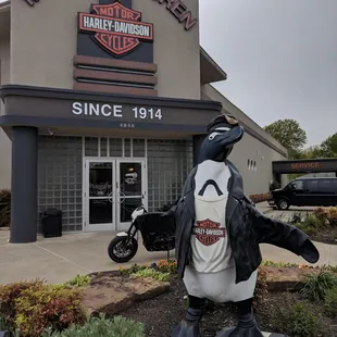 One of the Zoo penguins in front of the store