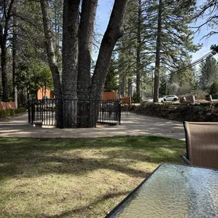 Nice and quiet garden to enjoy the sunshine