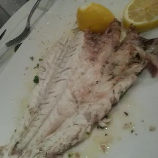 Mediterranean