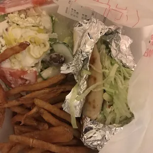 This is the $12 gyro platter. With fries, a salad and more lettuce on pita with little meat