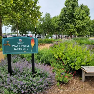 Waterside Gardens