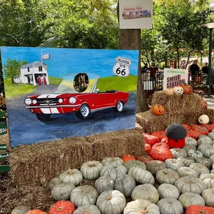 Pumpkinville experience at the Myriad Botanical Gardens. October 2023.