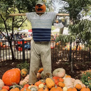 Pumpkinville experience at the Myriad Botanical Gardens. October 2023.