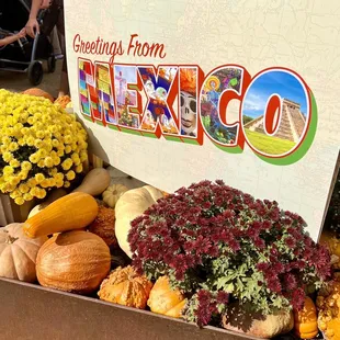 Pumpkinville experience at the Myriad Botanical Gardens. October 2023.