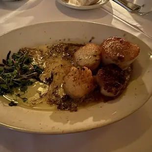 Scallops