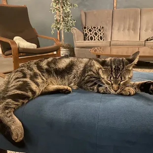 This is Myrtle-she is very friendly!