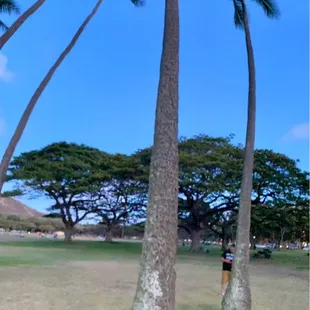 07.13.22 Waikiki Night Marchers Tour - witnesses are urged to crouch low to the ground, "play dead" and avoid from looking at them