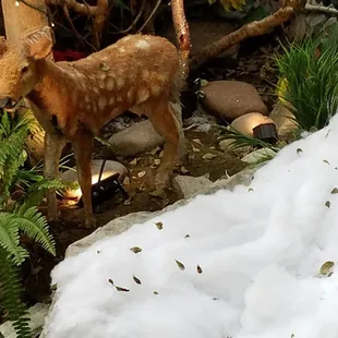 The deer resident of Mystic Falls Park enjoys the snow.