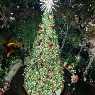 December 2024