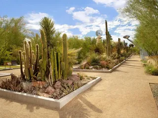 Springs Preserve