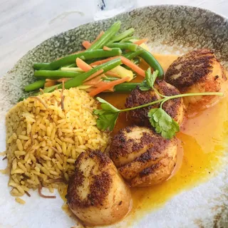 Sea Scallops