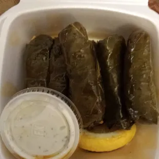 Dolma