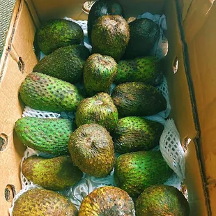 a box of avocados