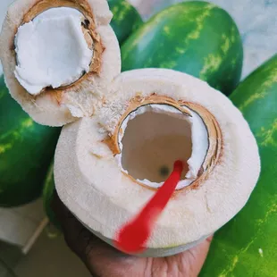 a person holding a coconut and a watermelon