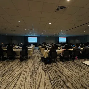MYSTICAL SOUNDS provided (2) big screens with a confidence TV monitor with wireless microphones and sound for a convention.