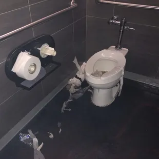 This is what the bathrooms look like every time I come here